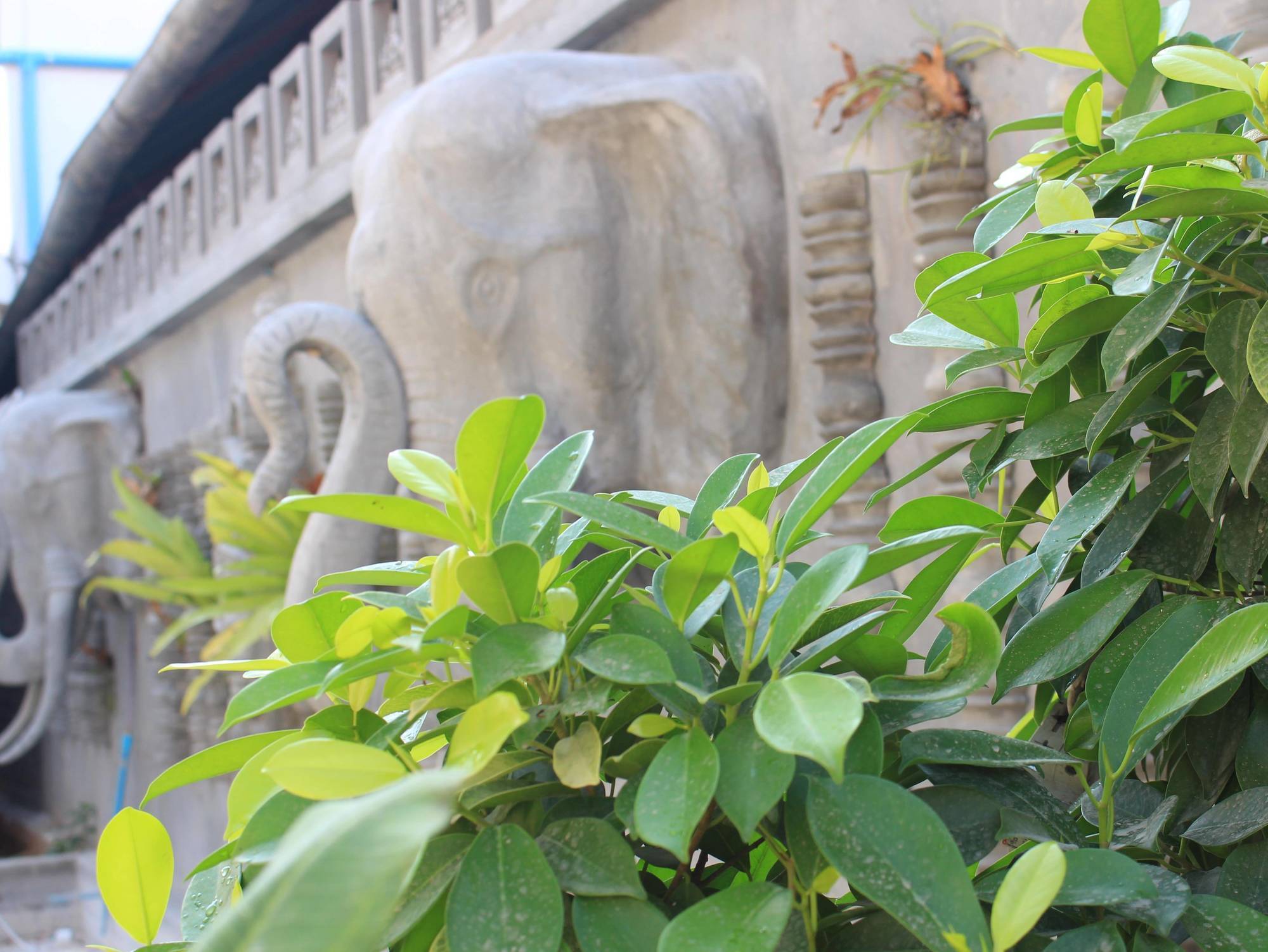 Fancy Boutique Villa Hotel Siem Reap Exterior photo